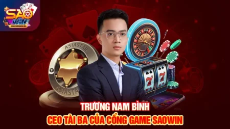 Trương Nam Bình CEO Saowin